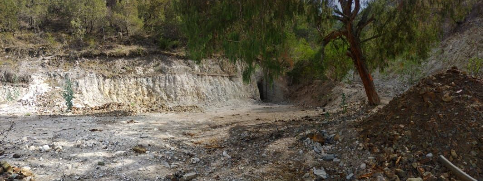 Pino Alto Silver Mine